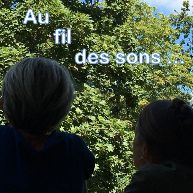 Au Fil des Sons...